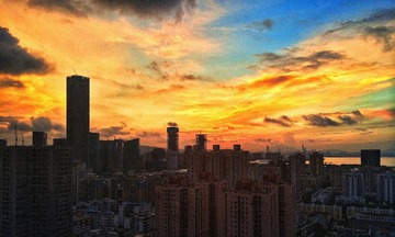 IMG_8424.