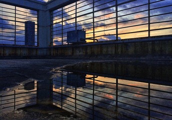 IMG_8433.