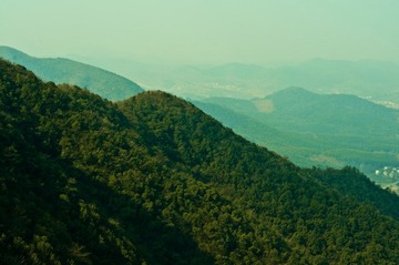 IMGP5088.jpg
