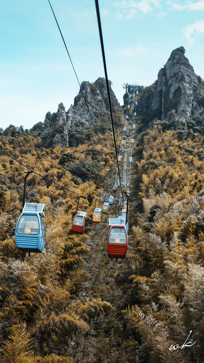 芜湖马仁峰索道 - 国色花卉 - 图虫