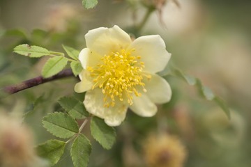 _MG_1546.jpg