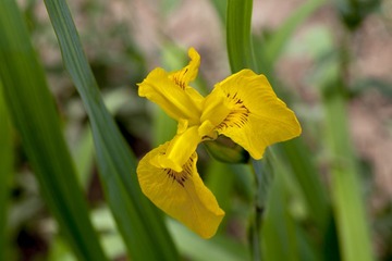 _MG_1560.jpg