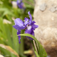 _MG_1604.jpg