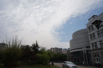 DSC00703.JPG