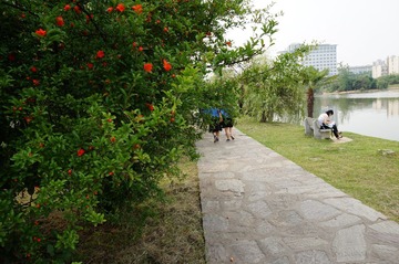 DSC01944.JPG