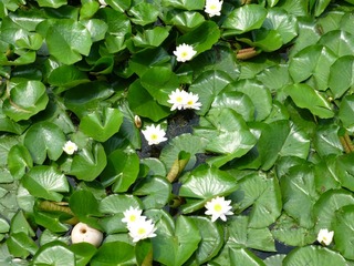 P1000731.JPG
