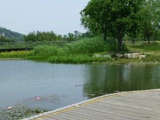 P1000768.JPG