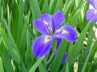 P1000780.JPG