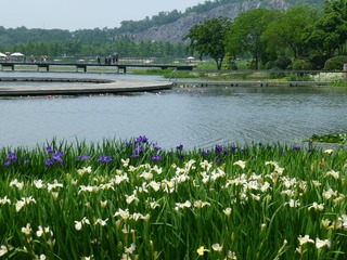 P1000783.JPG
