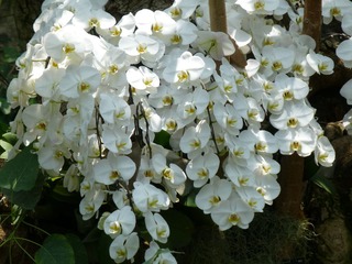 P1000790.JPG