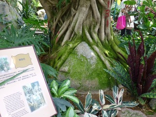 P1000791.JPG