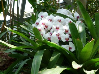 P1000797.JPG