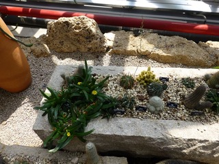 P1000815.JPG