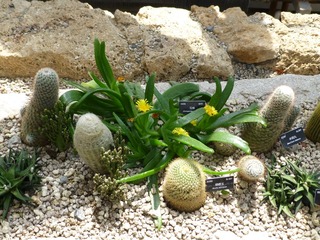 P1000816.JPG