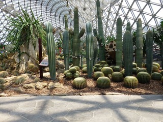 P1000823.JPG