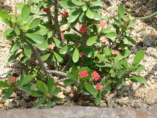 P1000830.JPG