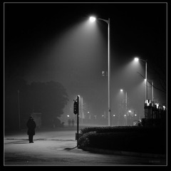 DSC_3850hs.jpg
