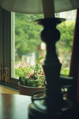 DSC06855_副本.jpg
