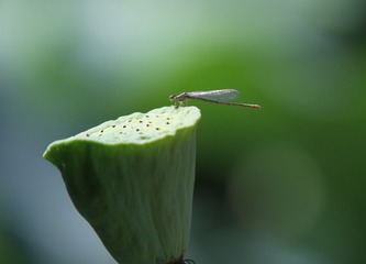 1073806