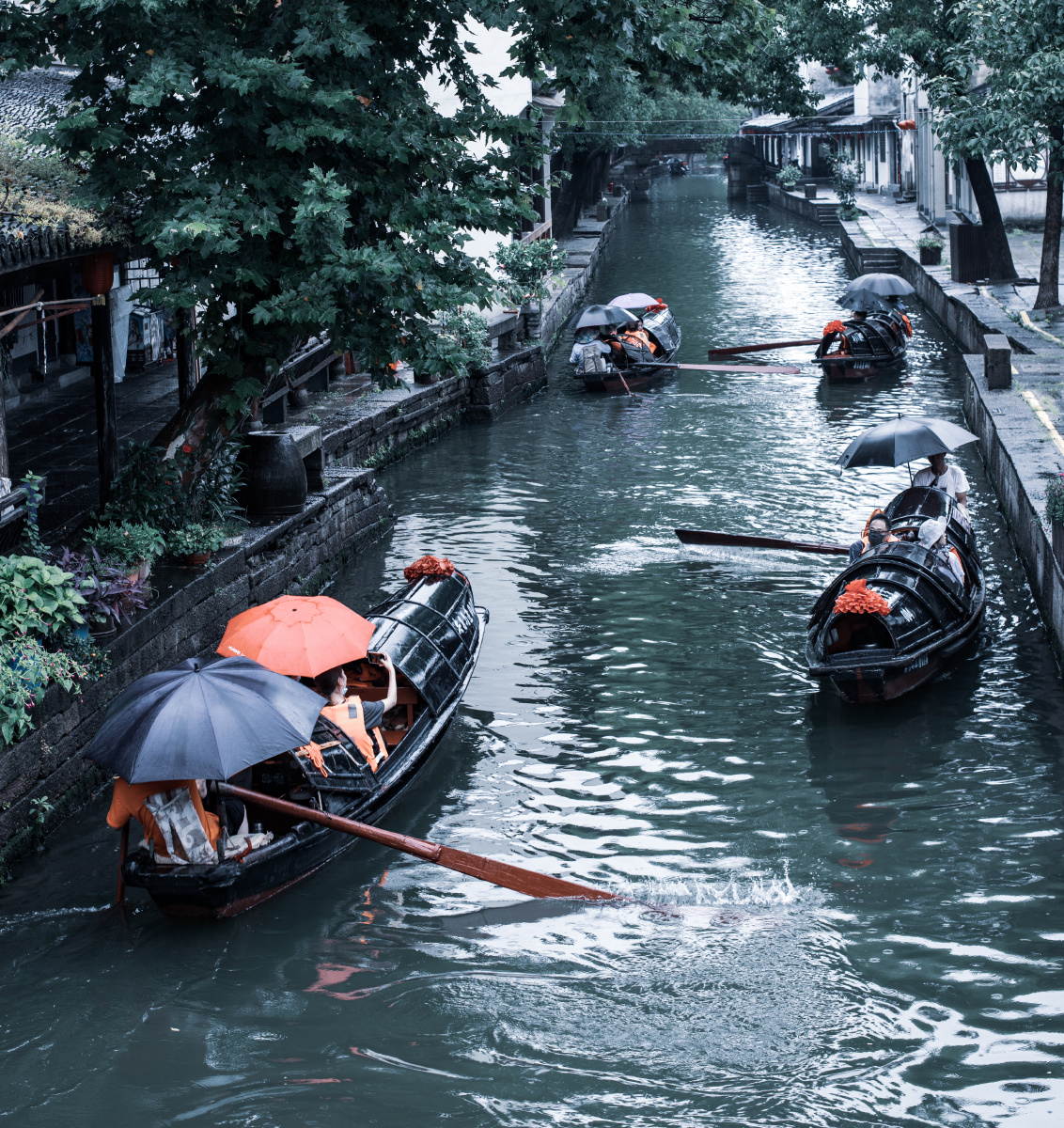 乌篷船江南水乡的代表了记得小时候关于江南的记忆就是乌篷船烟雨朦胧