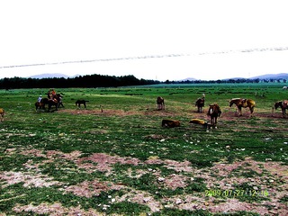 2002