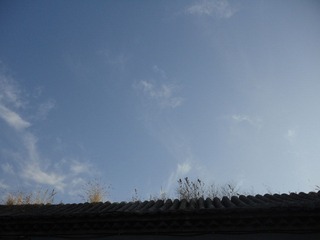 DSC03946_副本.jpg