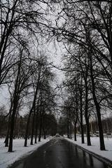 莫斯科 (10)