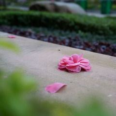 相机组-田苗苗-153.jpg