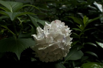 IMG_7677 - 2014-06-26 14-32-58