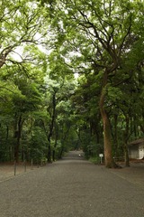 IMG_8316 - 版本 2