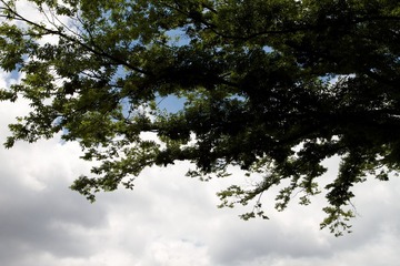 IMG_8550 - 2014-06-29 10-35-27