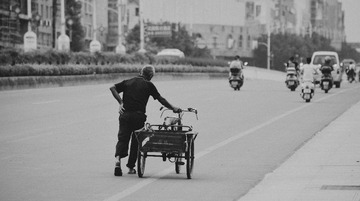 DSC_6955_