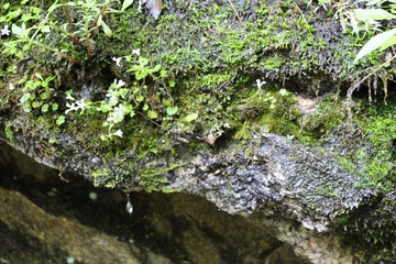 IMG_1453.JPG