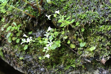 IMG_1478.JPG