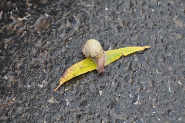 IMG_1634.JPG