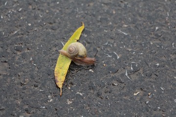IMG_1636.JPG