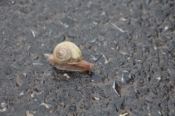 IMG_1639.JPG
