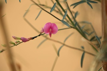 TE8C2153.JPG
