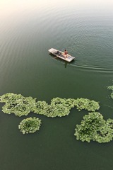 IMG_1005-01