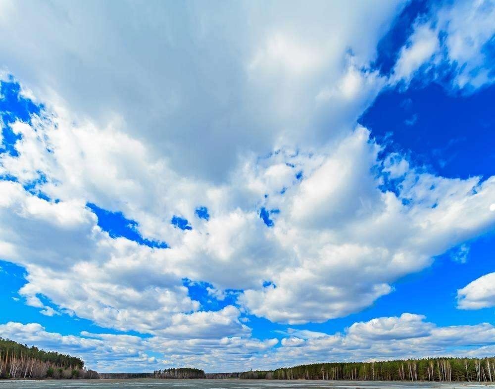 云淡风轻喵关注