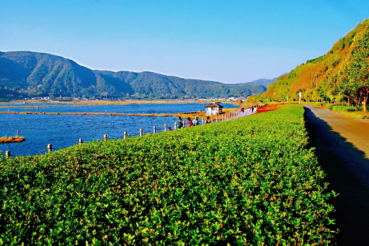 主题:【云南腾冲——北海湿地公园(二十三)】摄影:【赵谢荣】