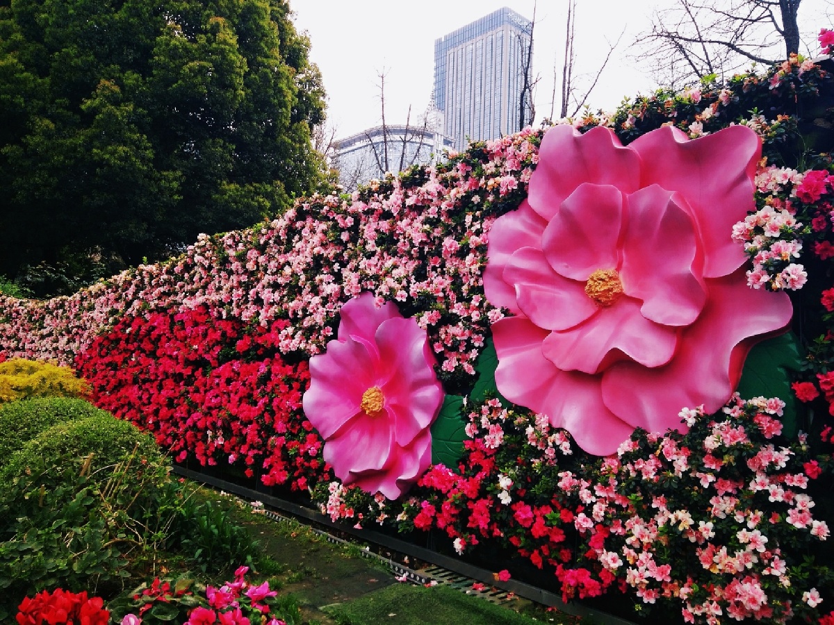 主题成都天府广场花团锦簇摄影赵谢荣