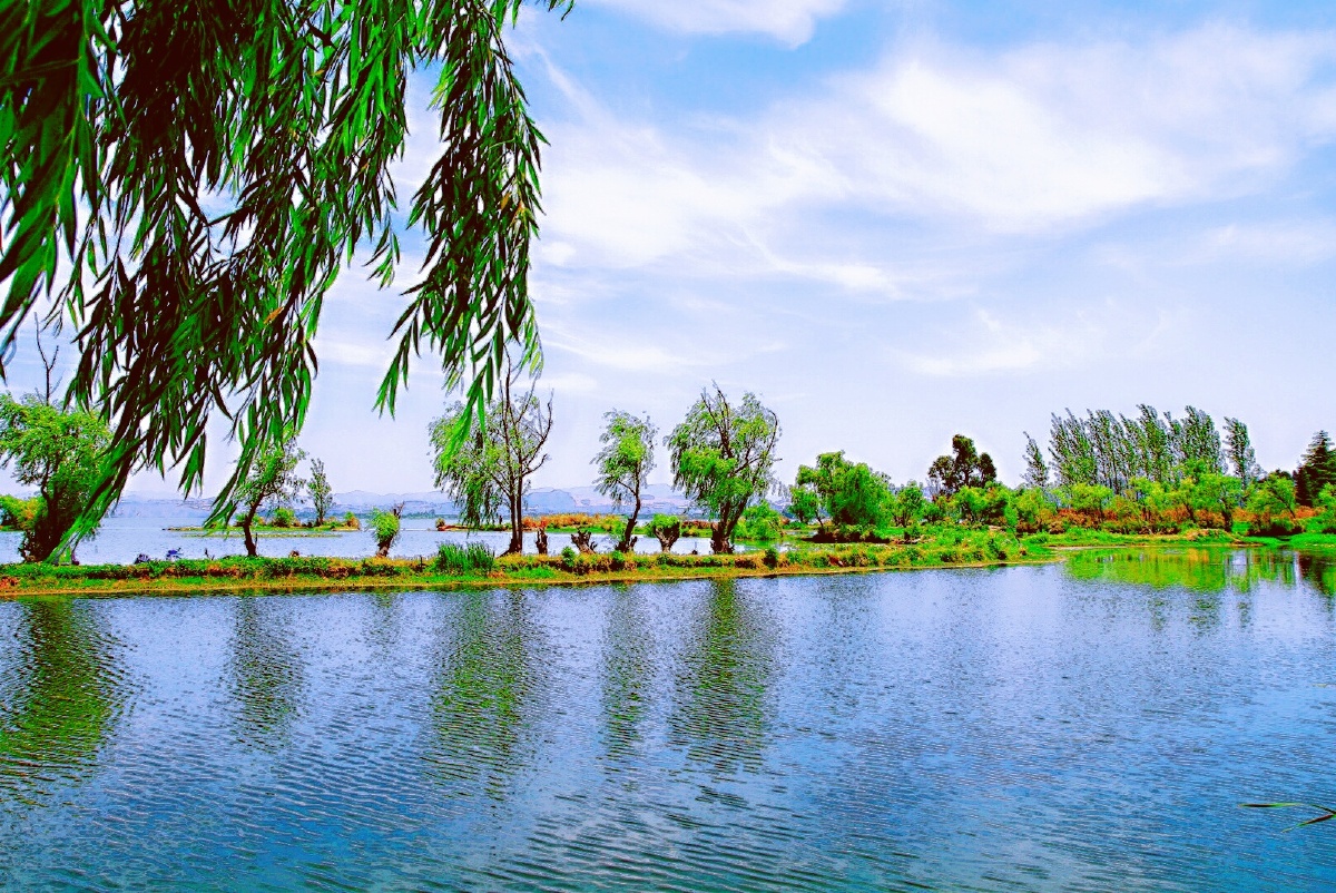 主题滇池出水口昆明海口夏天之美七摄影赵谢荣