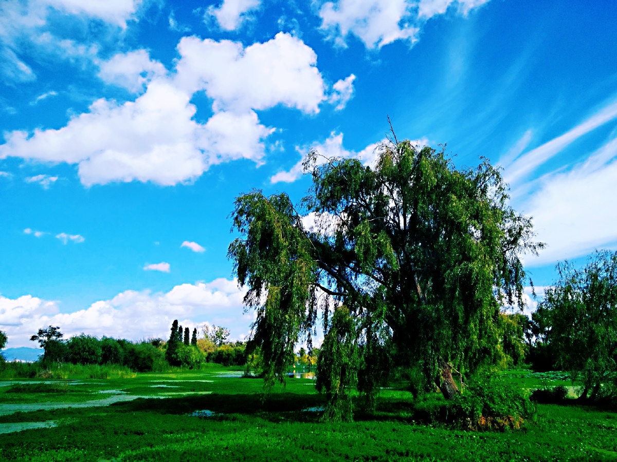 主题秋天的滇池南岸一幅美丽天成的画卷三摄影赵谢荣