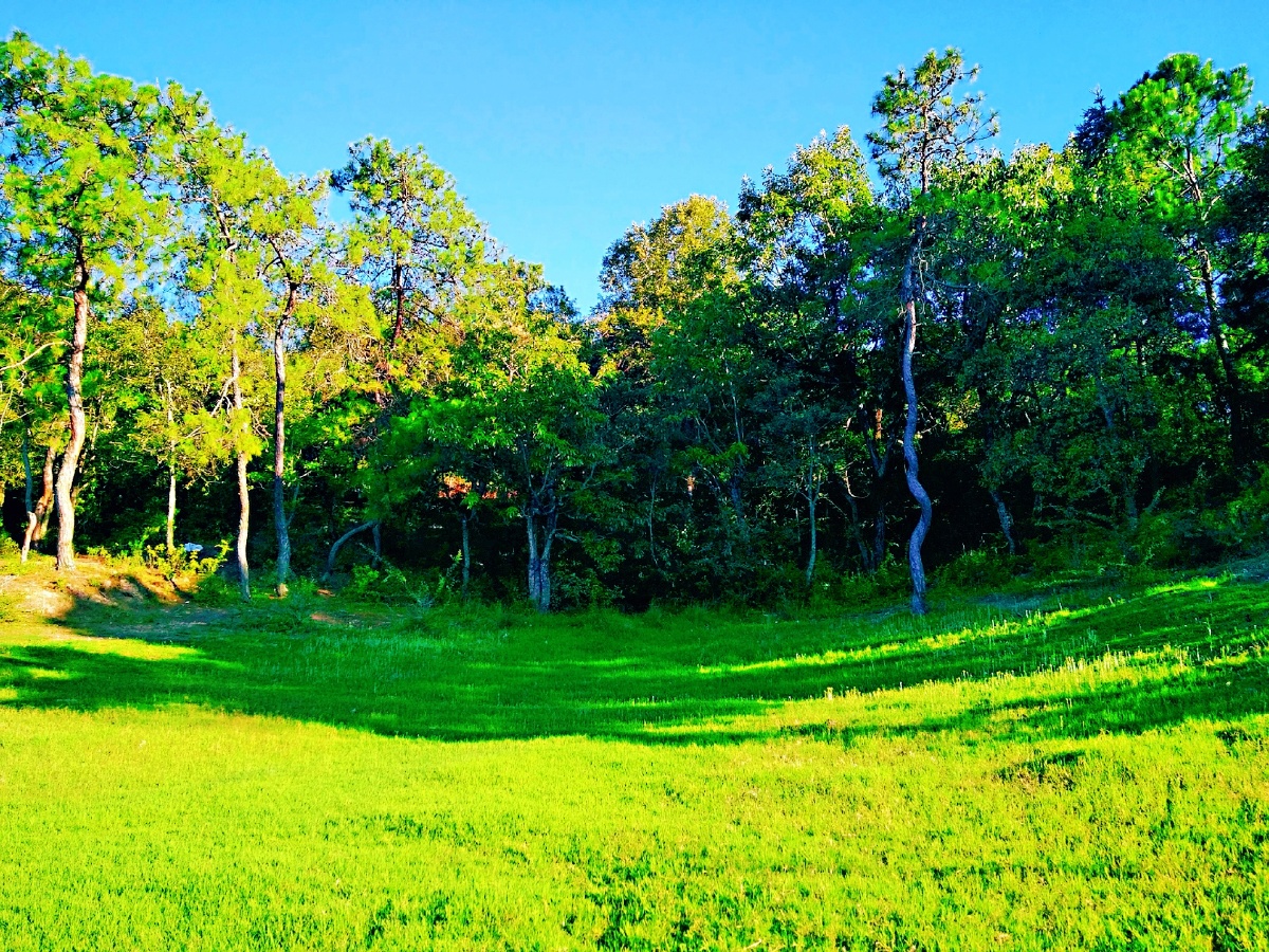 主题云南武定猫街新村水库夏景十六摄影赵谢荣