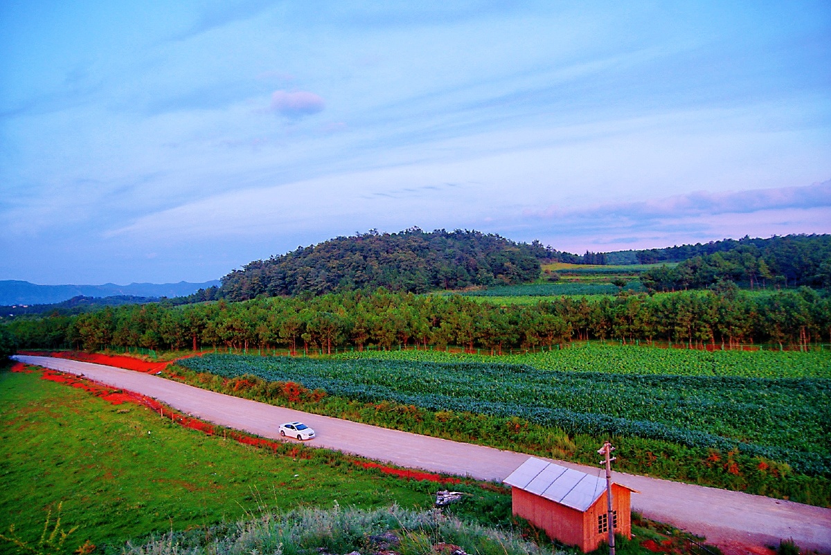 主题云南寻甸北大营草场景色美二十摄影赵谢荣寻甸北大营草场随处可见