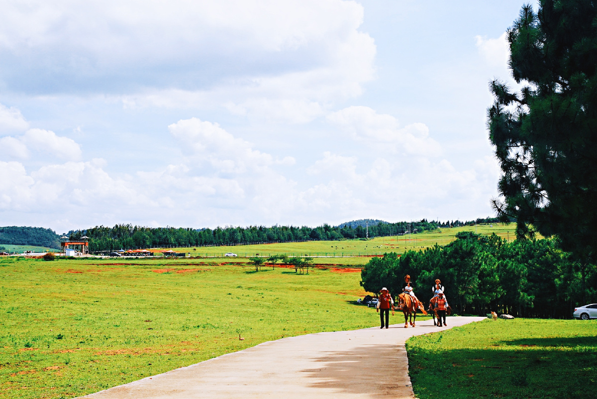 主题云南寻甸北大营草场景色美十六摄影赵谢荣寻甸北大营草场随处可见