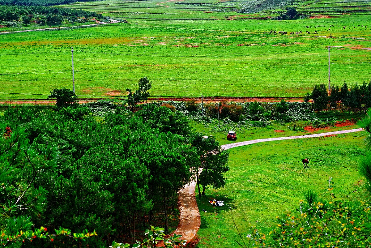 主题云南寻甸北大营草场景色美十二摄影赵谢荣寻甸北大营草场随处可见