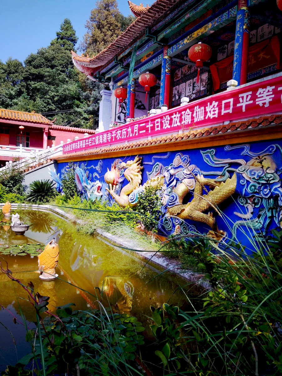 主题:【云南省嵩明县海潮寺公园秋色】 - 赵油诗 - 图虫