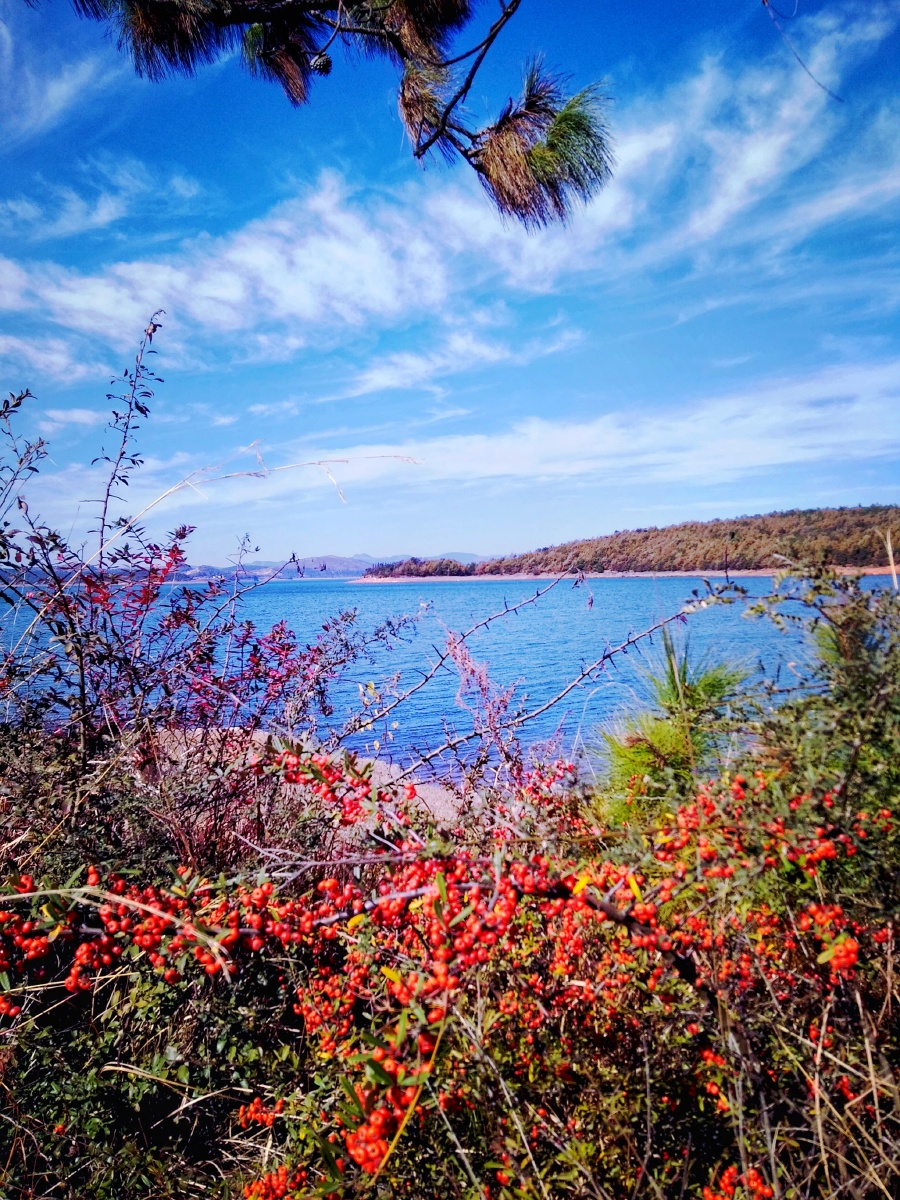 主题云南曲靖市花山水库冬景摄影赵谢荣